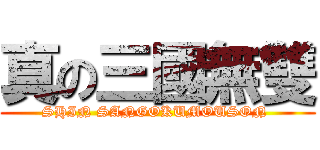 真の三國無雙 (SHIN SANGOKUMOUSON )