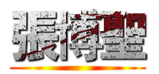 張博聖 ()