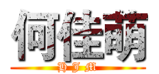 何佳萌 (H J M)