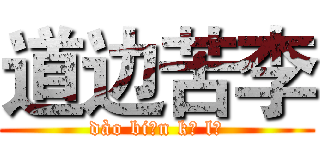 道边苦李 (dào biān kǔ lǐ)