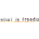 ｗｈａｔ ｉｓ ｆｒｅｅｄｏｍ (attack on titan)