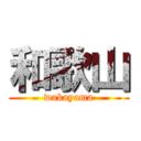 和歌山 (wakayama)