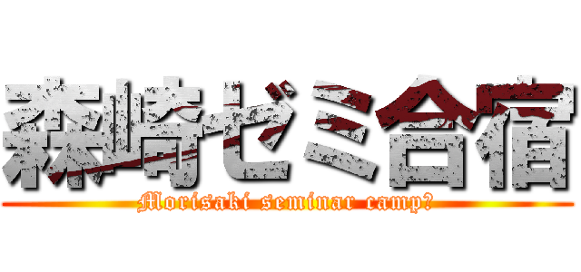 森崎ゼミ合宿 (Morisaki seminar camp　)