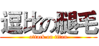 逗比の腿毛 (attack on titan)