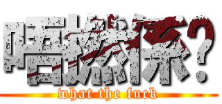 唔撚係啩 (what the fuck)