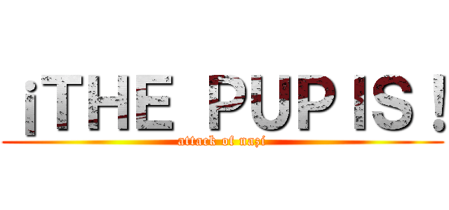 ¡ＴＨＥ ＰＵＰＩＳ！ (attack of nazi)