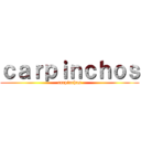 ｃａｒｐｉｎｃｈｏｓ (carpinchos)