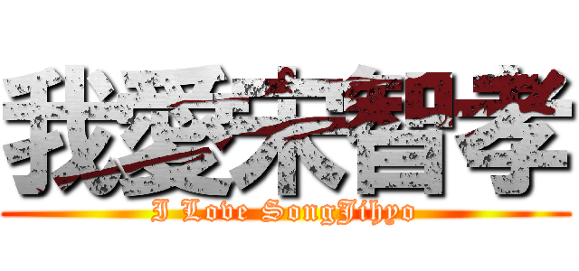 我愛宋智孝 (I Love SongJihyo)