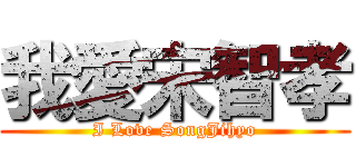 我愛宋智孝 (I Love SongJihyo)