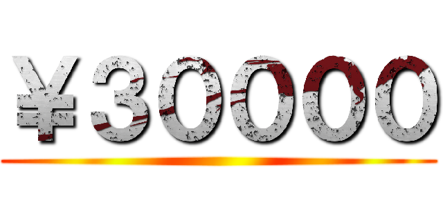 ￥３００００ ()