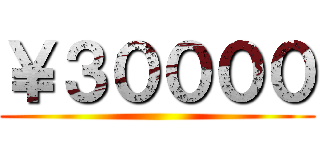 ￥３００００ ()