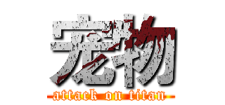 宠物 (attack on titan)