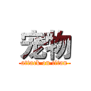 宠物 (attack on titan)