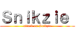 Ｓｎｉｋｚｉｅ  (attack on Snikzie)