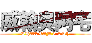 威翰臭阿宅 (WHAT CAN I SAY)