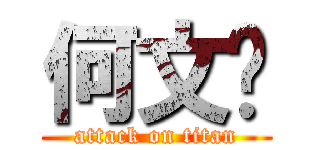 何文轩 (attack on titan)