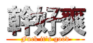 幹好爽 (Fuck it's good)