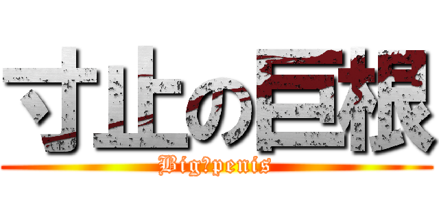 寸止の巨根 (Big　penis)