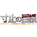 寸止の巨根 (Big　penis)