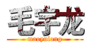 毛宇龙 (maoyulong)