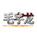 毛宇龙 (maoyulong)
