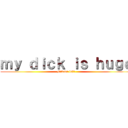 ｍｙ ｄｉｃｋ ｉｓ ｈｕｇｅ (Mikasa lel1)
