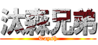 汰森兄弟 (Taysh)