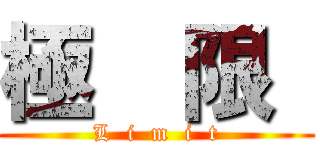 極  限  (L  i  m  i  t)