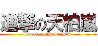 進撃の天柏嵐 (attack on Timberland)
