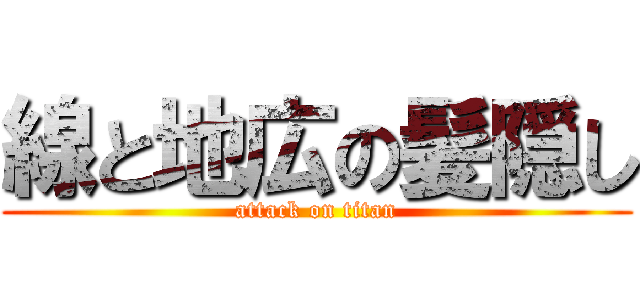 線と地広の髪隠し (attack on titan)