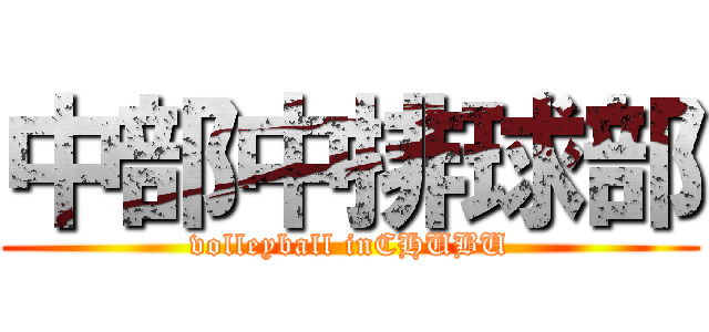 中部中排球部 (volleyball inCHUBU)