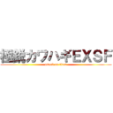 極鋭カワハギＥＸＳＦ (attack on titan)