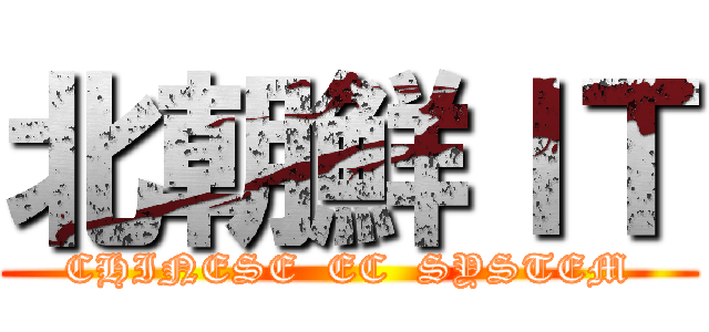 北朝鮮ＩＴ (CHINESE  EC  SYSTEM)