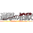 進撃の柏欣 (attack on titan)