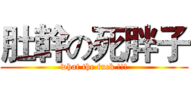 肚幹の死胖子 (what the fuck !!!)
