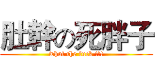 肚幹の死胖子 (what the fuck !!!)
