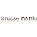 Ｇｒｏｓｓｅ ｍｅｒｄｅ (Grosse merde)