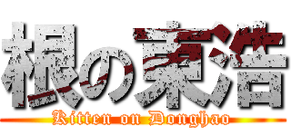 根の東浩 (Kitten on Donghao)