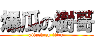 爆瓜の樹哥 (attack on titan)