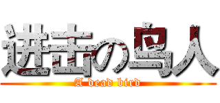 进击の鸟人 (A dead bird)