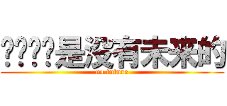 你们这样是没有未来的 (no future)