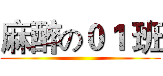 麻醉の０１ 班 ()