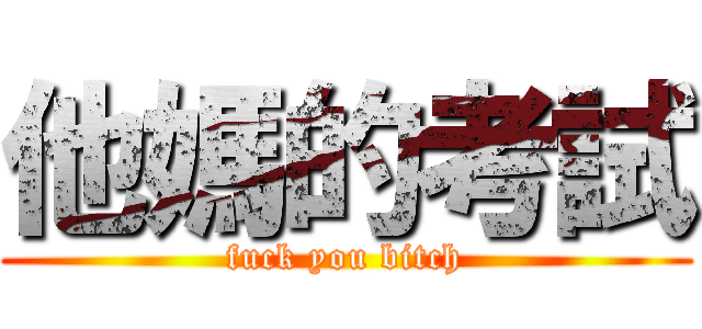 他媽的考試 (fuck you bitch)