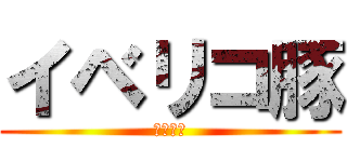 イベリコ豚 (宗石彩叶)