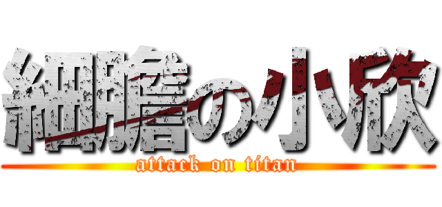 細膽の小欣 (attack on titan)