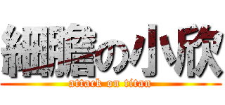 細膽の小欣 (attack on titan)