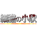 細膽の小欣 (attack on titan)