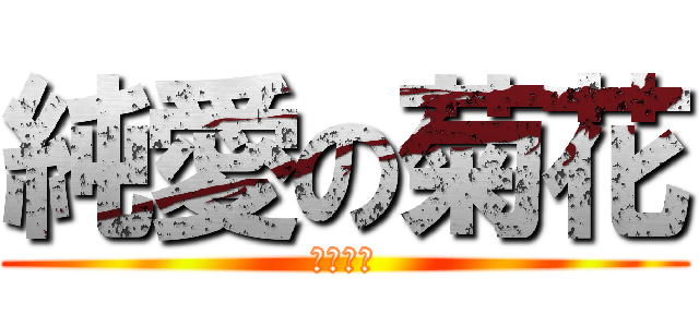 純愛の菊花 (菊の天下)