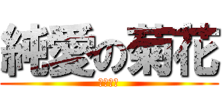 純愛の菊花 (菊の天下)