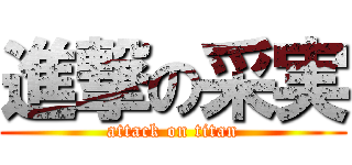 進撃の采実 (attack on titan)